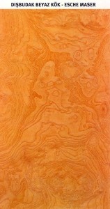 image0000029B